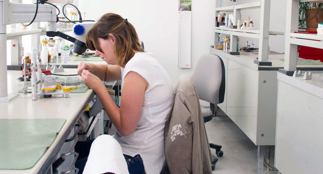 Dentaltechnik Heinrici Zahntechnikerin bei der Arbeit